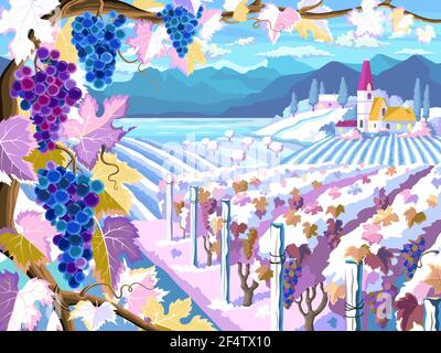 Rural landscape with vineyard, grapes bunches, fields and  sea. Four seasons. Winter season. (Other seasons in the my portfolio). Stock Vector