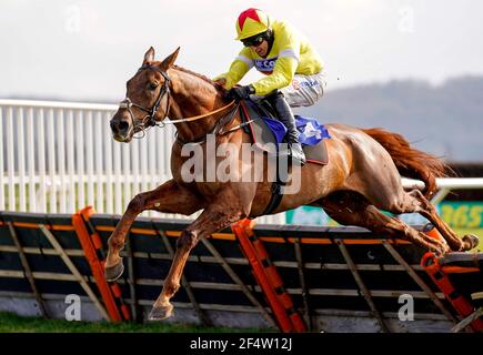 Grandads Cottage ridden by Harry Skelton clears a fence on their way to winning the Taunton Branch RNLI Supporters Novices' Hurdle at Taunton Racecourse. Picture date: Tuesday March 23, 2021. Stock Photo