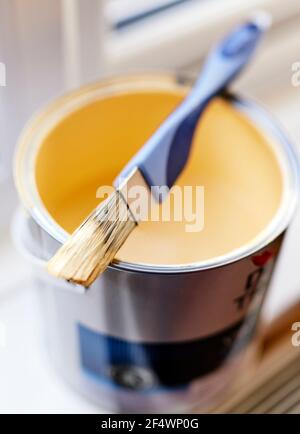 Paint brush resting on opened paint tin Stock Photo