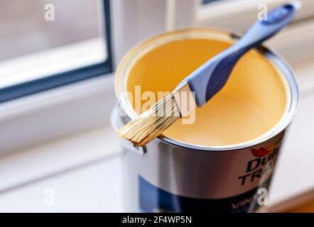 Paint brush resting on opened paint tin Stock Photo