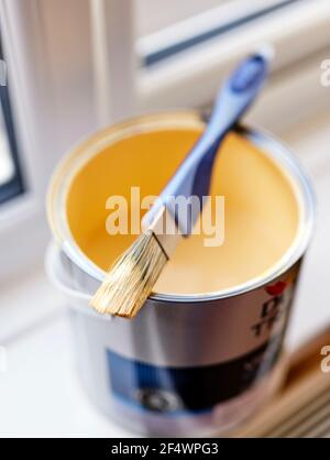 Paint brush resting on opened paint tin Stock Photo