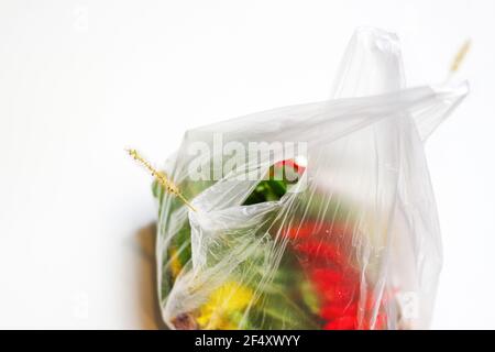 DEFOCUS. Environmental conservation. Red and green plants flowers in a plastic bag on a white background. A dry blade of grass sticks out. Ecological Stock Photo