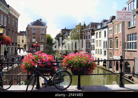 Summer's Day along canals in Utrecht, Netherlands Stock Photo