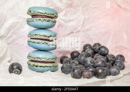 Delicious blueberry macaroons and fresh blueberries on white background Stock Photo