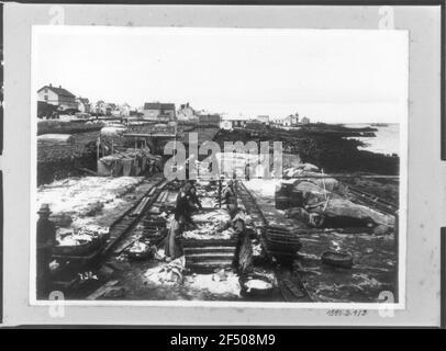 Reykjavík. Women in a Stockfish shop while washing and drying fish Stock Photo