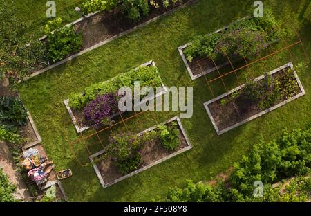 View from above couple in lush summer garden with raised beds Stock Photo