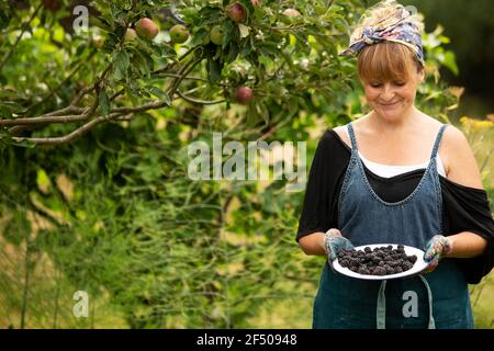 Portrait happy woman harvesting fresh blackberries in garden Stock Photo