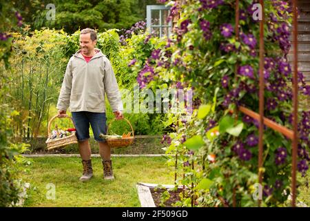 Man with baskets harvesting vegetables in summer garden Stock Photo