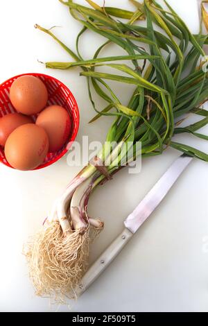 Image from above of a white kitchen table in which there are some garlic with leaves, some brown eggs and a knife Stock Photo