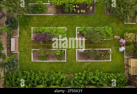 Aerial view couple gardening in lush garden with raised beds Stock Photo