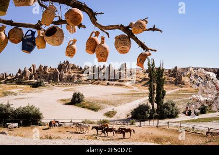 Branch of a tree decorated with clay jugs; Goreme national park in Cappadocia, Turkey Stock Photo