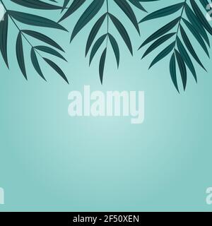 Abstract Natural Background with Tropical Palm Leaves. Vector Illustration Stock Vector