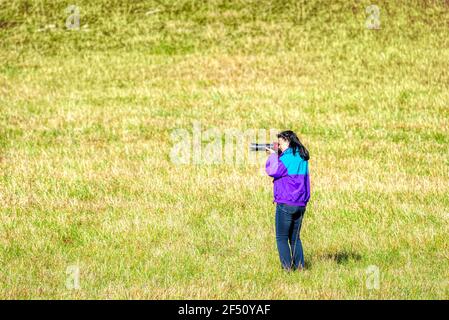 Horizontal shot of a woman photographer standing in a field taking a picture with copy space. Stock Photo