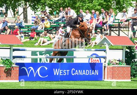 The Canada 1, Spruce Meadows, June 2003, Ralf Runge (GER) riding Gonzogo Stock Photo