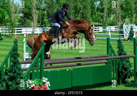 Canada 1, Spruce Meadows, June 2003, Trimac Cup, Jorge Verswyvel (MEX) riding Ataulfo Stock Photo