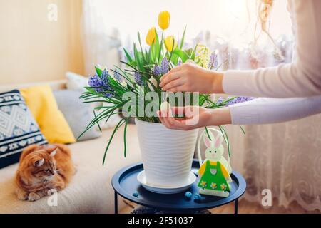 Easter home decor. Woman hangs eggs on spring blooming flowers in pot. Interior holiday design on table by bunny. Stock Photo