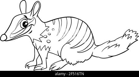 Black and white cartoon illustration of funny numbat comic animal character coloring book page Stock Vector