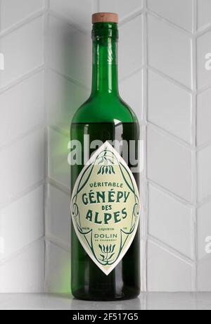 Genepi growing in the Swiss Alps Stock Photo - Alamy