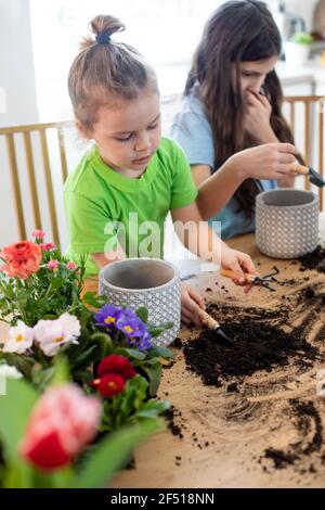 Little gardeners planting potted flowers it the kitchen Stock Photo