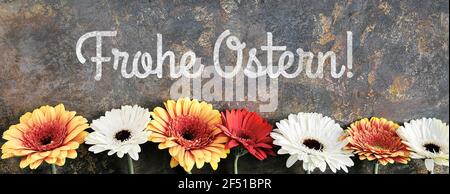 Easter decorations, text Frohe Ostern means Happy Easter in German language. Gerbera flowers behind decorative fence. Spring arrangement on textured Stock Photo