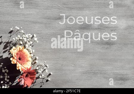 Easter decorations, text Joeuses Pagues means Happy Easter in French language. Gerbera and baby breath flowers, corner composition on textured wooden Stock Photo