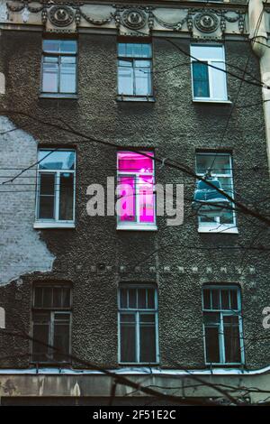 pink window phyto lamp growing flowers in the city growing flowers in the city eco Stock Photo