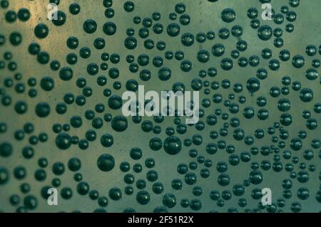 Close-up of gas bubbles in water. Soda water on close-up. Carbonated water on a dark background. Background with bubbles of carbonated water. Stock Photo