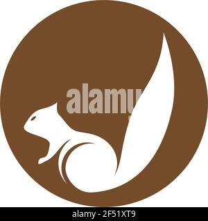 Squirrel logo template vector icon illustration design Stock Vector