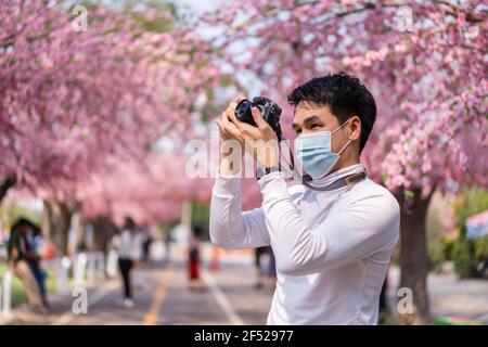 young man traveler wearing face mask and looking cherry blossoms or sakura flower blooming in the park Stock Photo