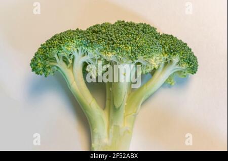 broccoli on white background Stock Photo