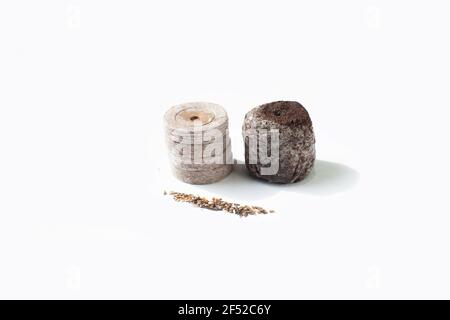 Isolated compacted peat pellets (pod) for seed starting are used by gardeners. Peat is harvested unsustainably and has led to irreversible damage. Coc Stock Photo