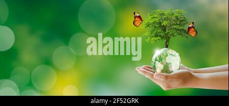 Glowing tree on Globe crystal glass ball in hand with butterfly. Green background with bokeh. World mental health and World earth day. Saving environm Stock Photo