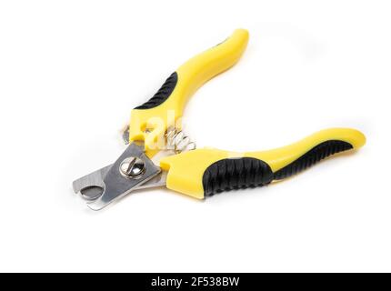Dog nail trimmer with open blades. Yellow black scissor style clipper with two stainless steel blades. Used by groomers and pet owners to keep dog cla Stock Photo