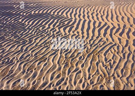 Regular ripples and patterns left on a sandy golden beach in the tropics made by the waves and the receding tide. Stock Photo