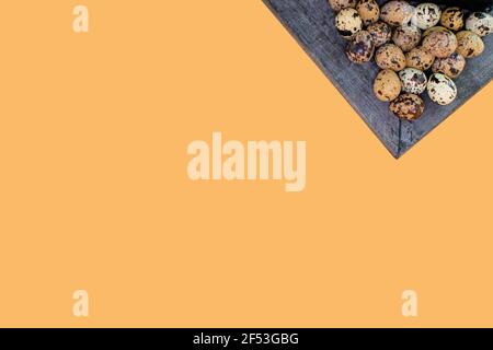 Quail eggs in a wooden dark gray colored plate, and writing space   Easter background Stock Photo