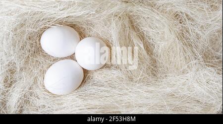 Banner Three eggs in chicken nest with white straw Stock Photo
