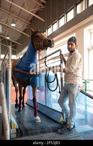 Al Shaqab Horse Racing Academy & Ottoman Stables, Doha, Qatar Stock Photo