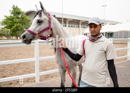 Al Shaqab Horse Racing Academy & Ottoman Stables, Doha, Qatar Stock Photo