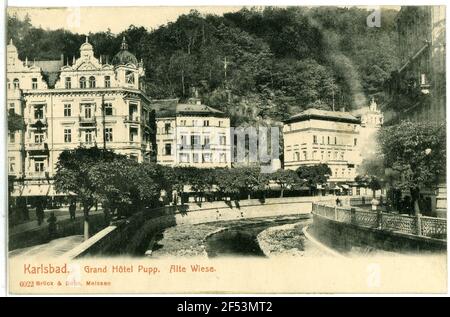 Grandhotel Pupp - Old Meadow Carlsbad. Old meadow with Grand Hotel Pupp Stock Photo