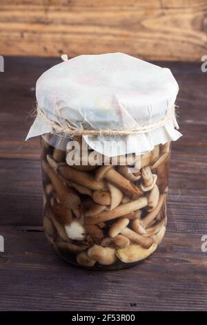 Preservation of vegetables in banks. Fermentation products. Harvesting mushrooms for the winter. Copy space Stock Photo