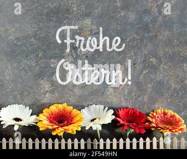 Easter decorations, text Frohe Ostern means Happy Easter in German language. Gerbera flowers behind decorative fence. Spring arrangement on distressed Stock Photo