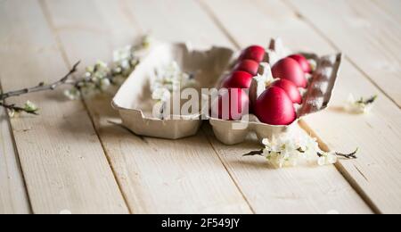 Red Easter eggs with spring blossoms, natural painted festive Easter eggs with white spring flowers and buds composition, Easter holidays Stock Photo