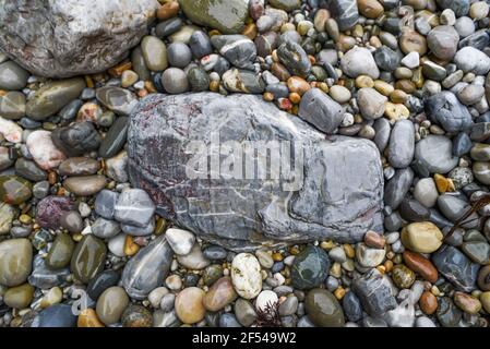Colored stones on the beach soaked by the textura water. Stock Photo