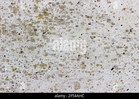 A flat grey concrete surface with light brown spots of lichen Stock Photo