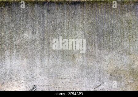 Aged concrete wall showing vertical streaks of dirt and lichen Stock Photo