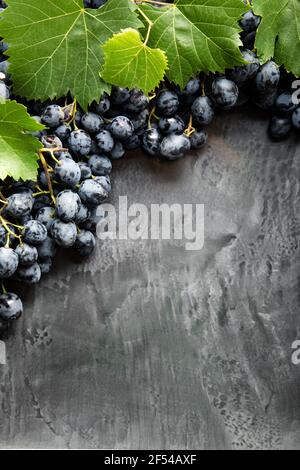 Frame made of grapes. Black juicy grapes on vintage dark concrete background. Copy space for text or menu on black scuffed background. Frame Border ma Stock Photo