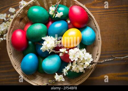 Top view of colorful Easter eggs basket with spring flowers, Easter holidays decoration Stock Photo