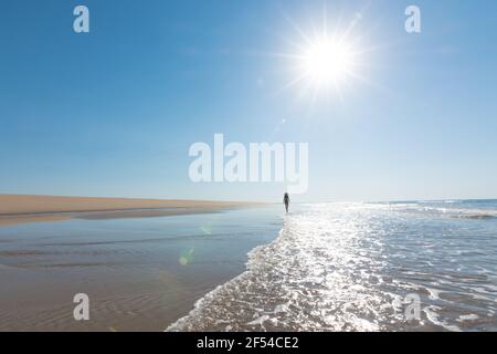silhouette of young woman wearing black bikini and hat walking on a lonely beach. vacation, leisure, relaxation and tranquility concept