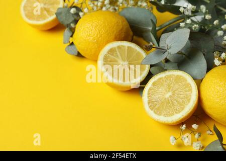 Eucalyptus branches, lemons and gypsophila on yellow background Stock Photo