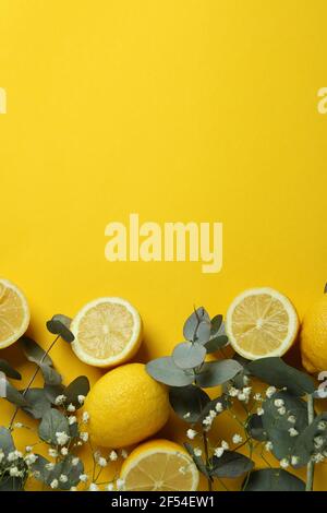 Eucalyptus branches, lemons and gypsophila on yellow background Stock Photo